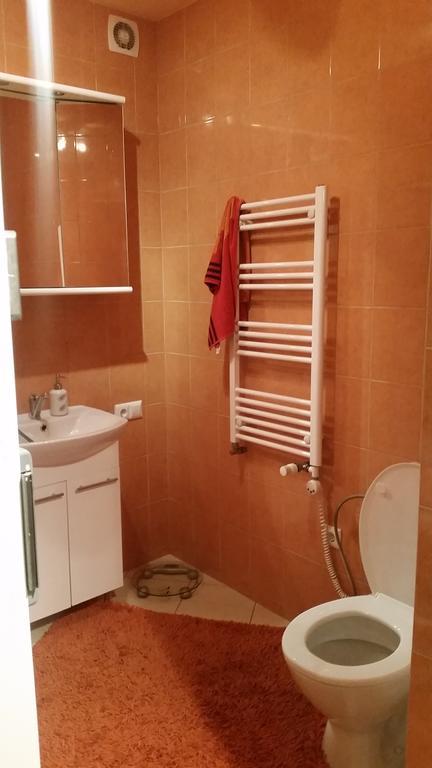 Apartments Near Old Town With Private Parking カウナス エクステリア 写真